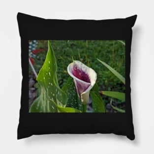 Calla Lilly and Leaves Pillow