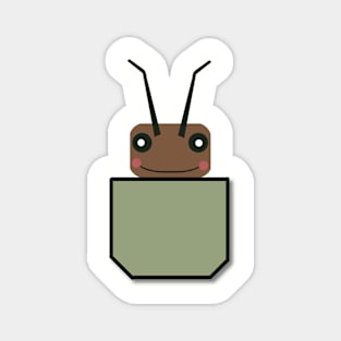 Pocket Hopper Magnet