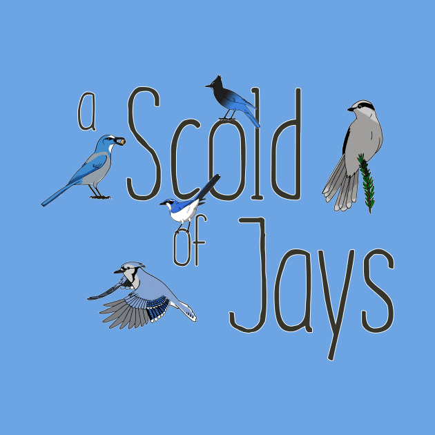 Collective Nouns - Jays by Feathered Focus