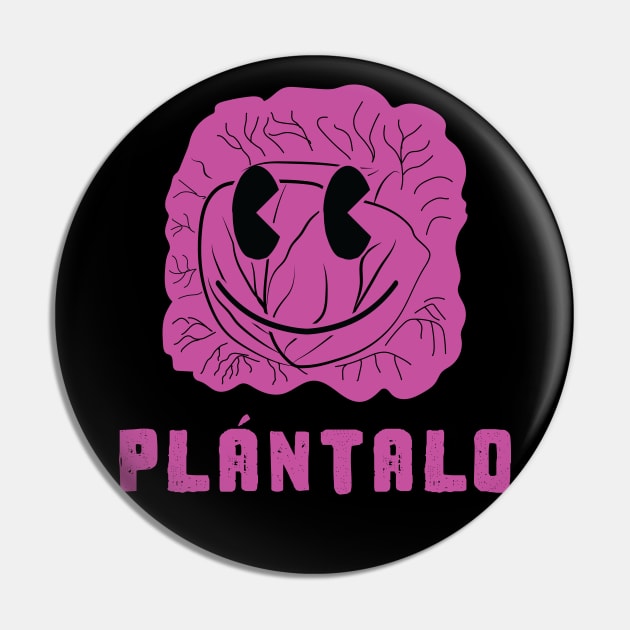 Plantalo Repollo Morado Pin by PelagiosCorner