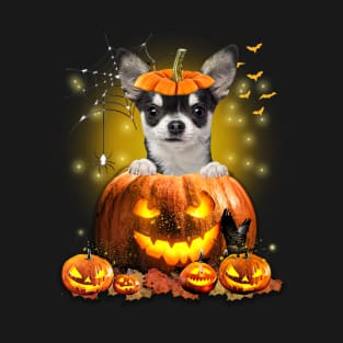 Black Chihuahua Spooky Halloween Pumpkin Dog Head T-Shirt