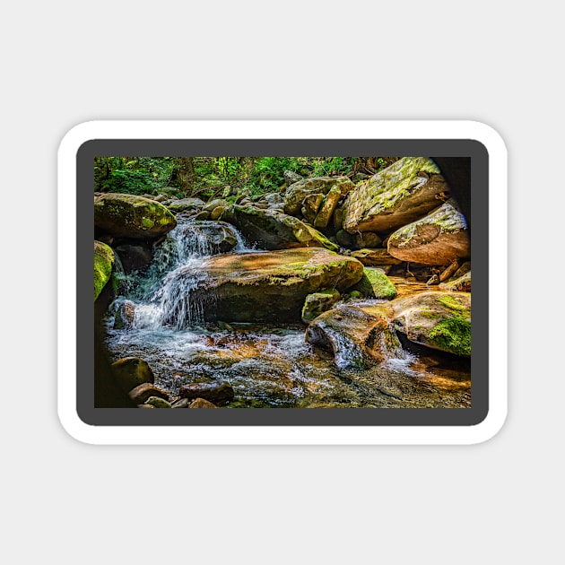 Rainbow Falls Hike Magnet by Gestalt Imagery