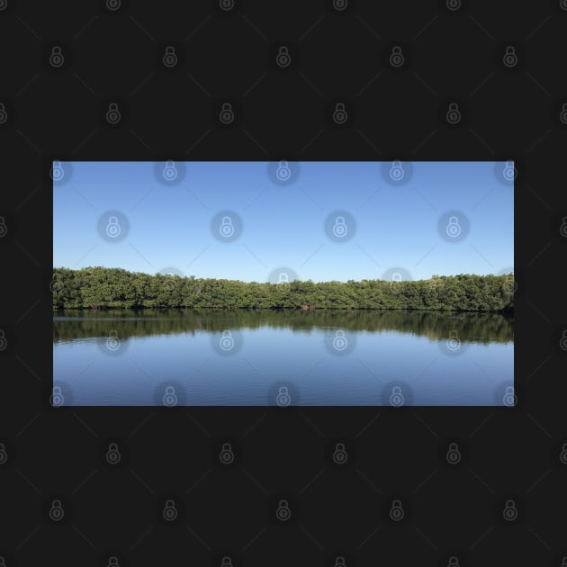 Weedon Island Preserve Mangroves by Sparkleweather