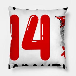 I Turned 44 In Quarantine Funny Cat Facemask Pillow