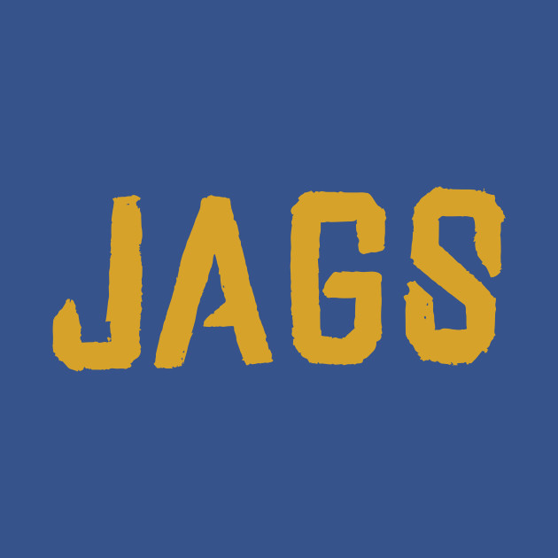 Disover Jacksonville Jaguaaaars 03 - Jacksonville Jaguars - T-Shirt