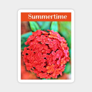 Red Ixora Flower Bloom Celebrating Summertime Magnet