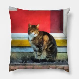 Cats - Tabby Cat by Red Door Pillow