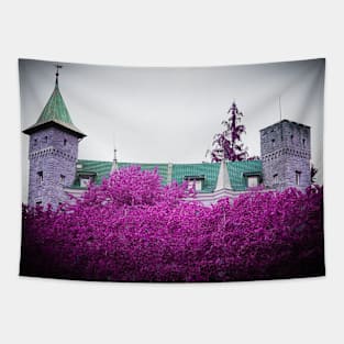 Castle & Vines / Swiss Artwork Photography Tapestry