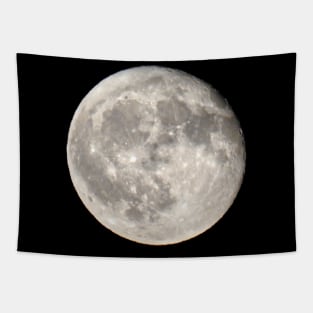 Full moon night sky the moon Tapestry