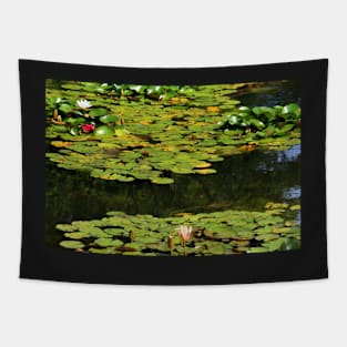 Serenity Tapestry