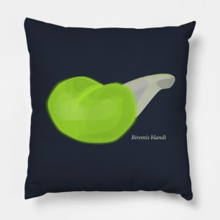 Deep sea terebellid worm- Biremis blandi Pillow