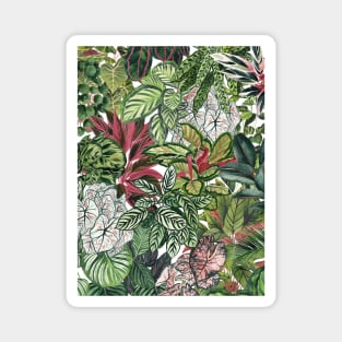 Urban Jungle Plant Lover Magnet