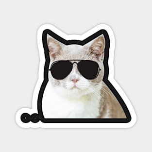 Cool cat with glasses Magnet