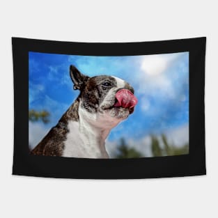 Boston Terrier v Peanut Butter Tapestry