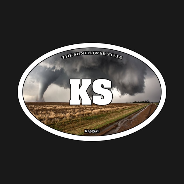 Kansas Tornado Travel Sticker by ZombeeMunkee