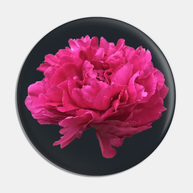 Hot Pink Peony in Full Bloom Pin by InalterataArt