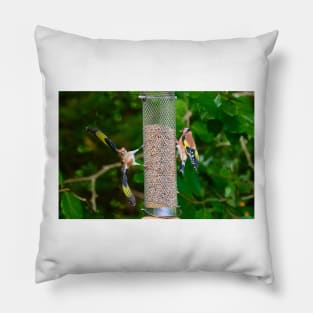 Squabbling Goldfinches Pillow