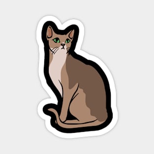 A cat cute looking Magnet