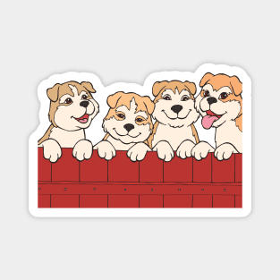 Akita Inu Puppies Magnet