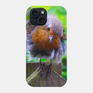 Red Robin! Phone Case