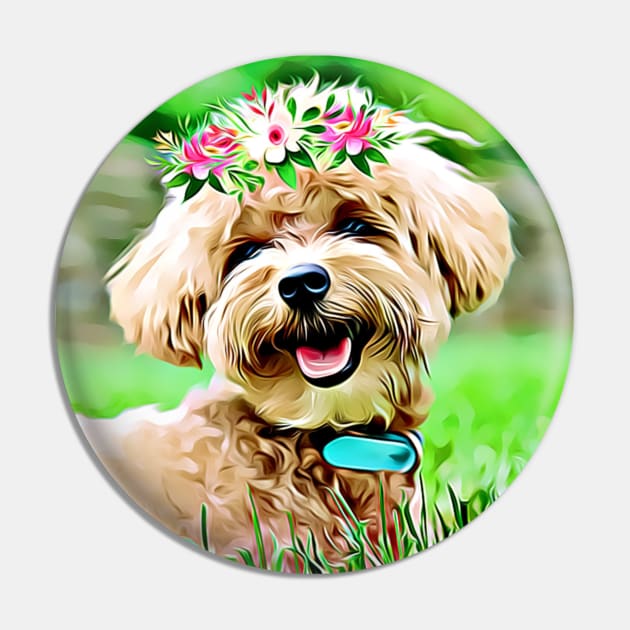 Pin on Maltipoo dog