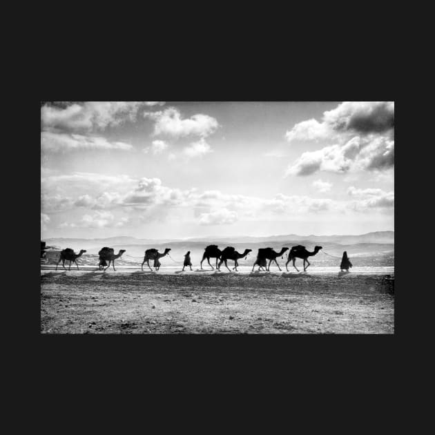 Egyptian Camel Caravan Near Olivet, Jerusalem 1918 by rocketshipretro