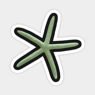 Starfish, Seafoam Green Magnet