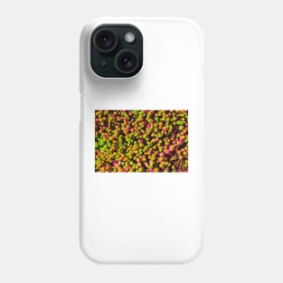 Pink and Green Succulents Phone Case