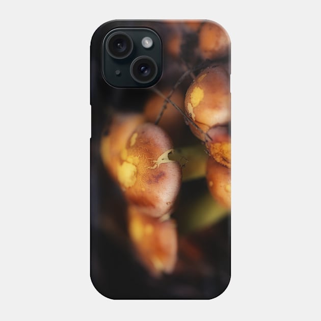 Mushrooms, macro Phone Case by hottehue