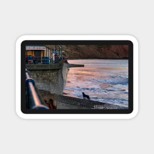 Filey Magnet