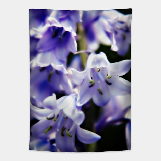 Bluebell Flowers Tapestry by InspiraImage