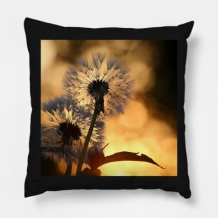 Beautiful Dandelion Flower Pillow