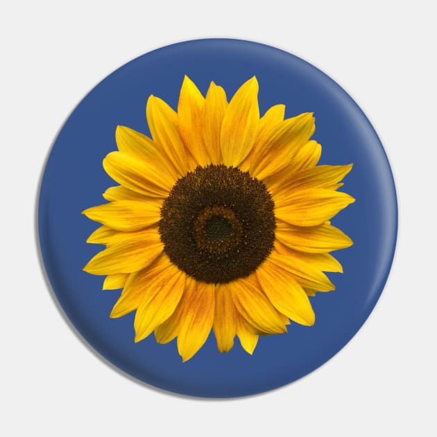 Sunflower (Flower / Blossom / Sun) Pin by MrFaulbaum