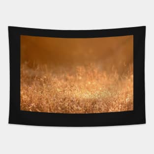 Golden grass field in the summer mountain photography Tapestry