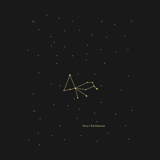 Pavo Constellation. Gold T-Shirt