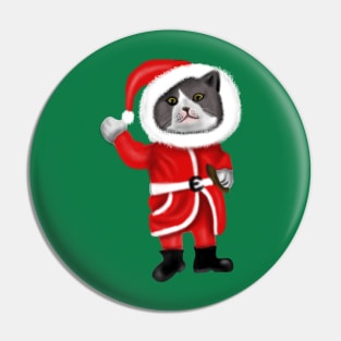 Santa Cat Funny Cat Lovers Christmas Gift Pin