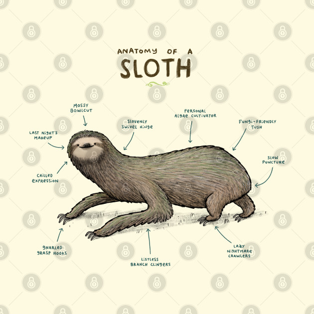 Anatomy of a Sloth - Sloth - Phone Case