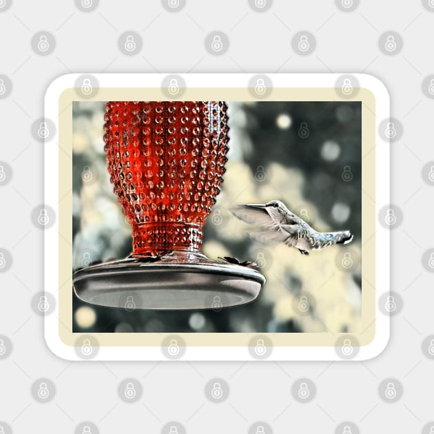 Hummingbird Red Feeder Magnet by MaryLinH