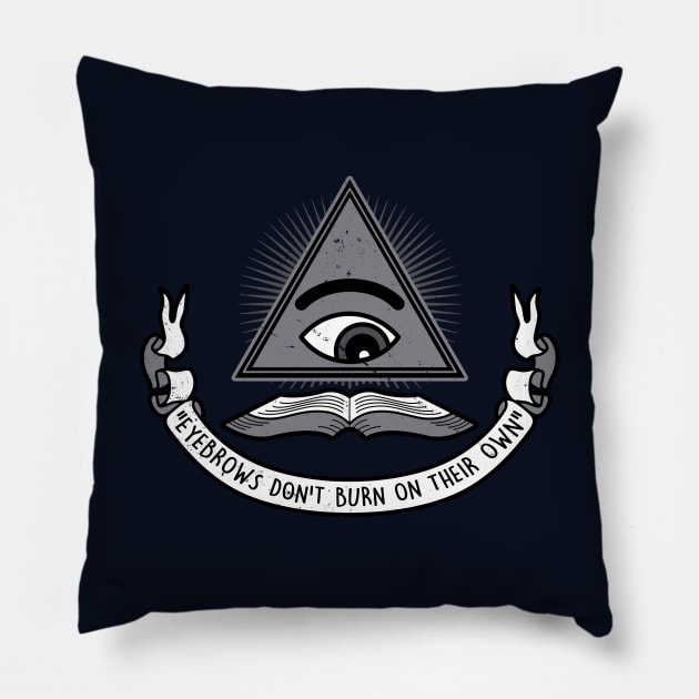 Funny Vintage School Education Illuminati Slogan Funny Saying Meme Pillow by BoggsNicolas