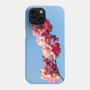 Springtime Phone Case