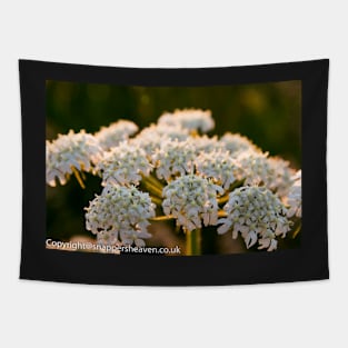 Cowslip in the Meadowflower collection Tapestry