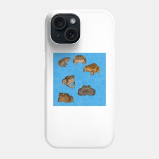 Toads Pattern Blue Phone Case