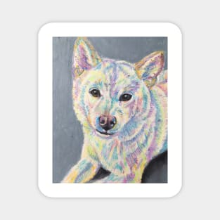 Colourful Shiba -Inu Magnet