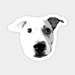 Pitbull Love Shirt Magnet