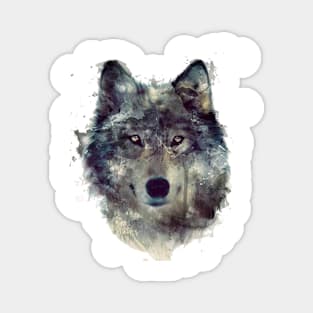 Wolf face animals Magnet