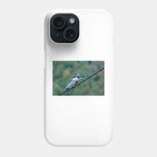 4917 kingfish on watch Phone Case