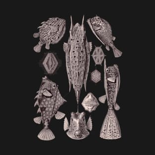 Ernst Haeckel Ostraciontes Fish Aubergine T-Shirt