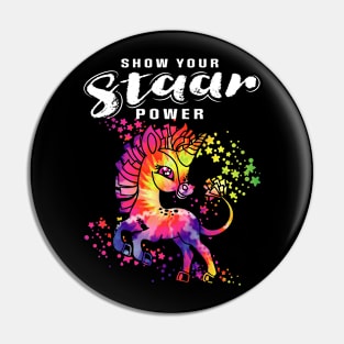 Exam Testing Day Show Your STAAR Power, Tie Dye Teacher Pin