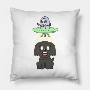 Funny black dog is being abducted by aliens Pillow