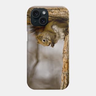 Red Squirrel Phone Case